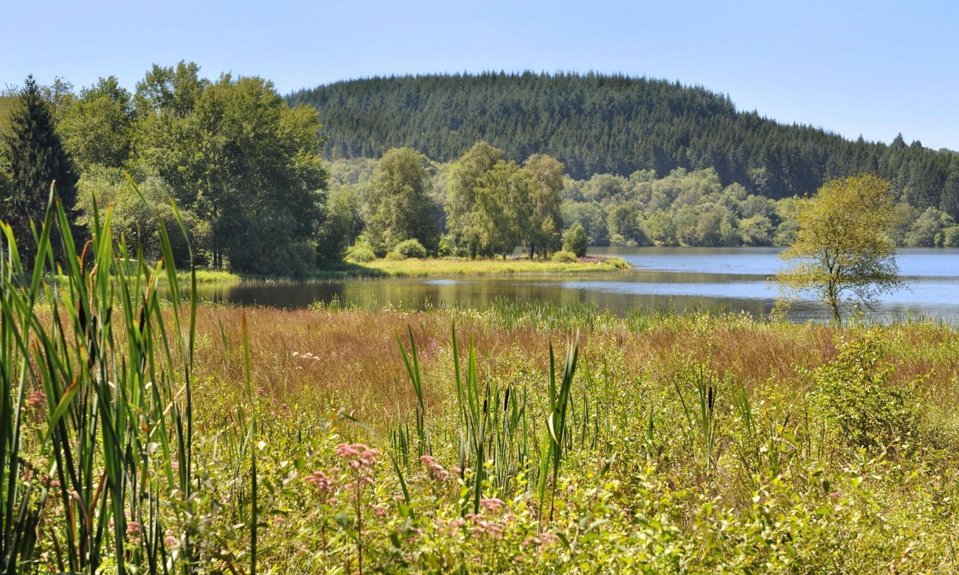 Découvrir le Morvan